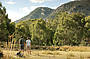 1 Day Grampians National Park Tour (with Lunch)