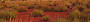 Ayers Rock to Kings Canyon Transfer (Y23)