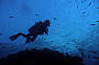 2 Day Trip Referral (not for certified divers or snorkelers) on MV Sun-Kist
