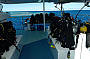 7 Day Cod Hole, Ribbon Reefs & Coral Sea Double/Twin ( Monday Departure )