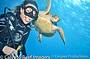 4 Day PADI Open Water Learn to Dive Course